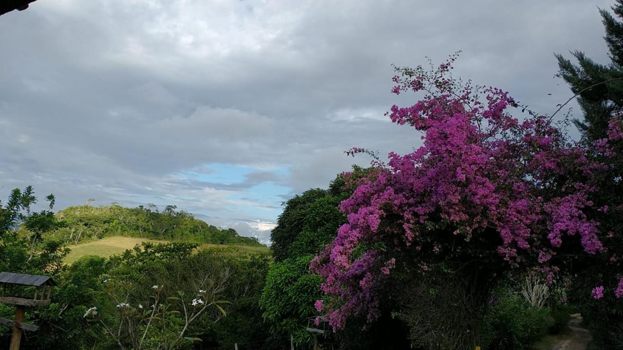 Hotel Fazenda Colibri أمارغوزا المظهر الخارجي الصورة